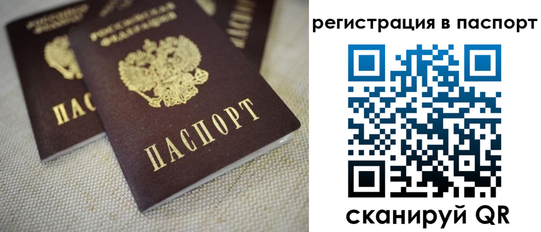 прописка гарантия в Менделеевске